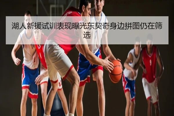 湖人新援试训表现曝光东契奇身边拼图仍在筛选